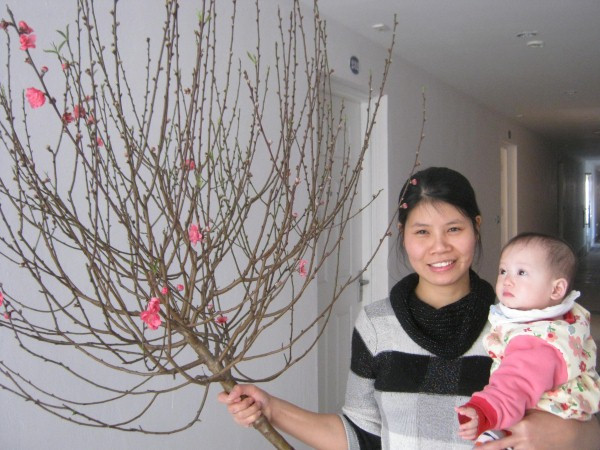 Cư dân Đặng Xá II nhộn nhịp đón Tết Giáp Ngọ trong những căn hộ mới